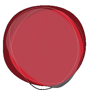 flickering words vision